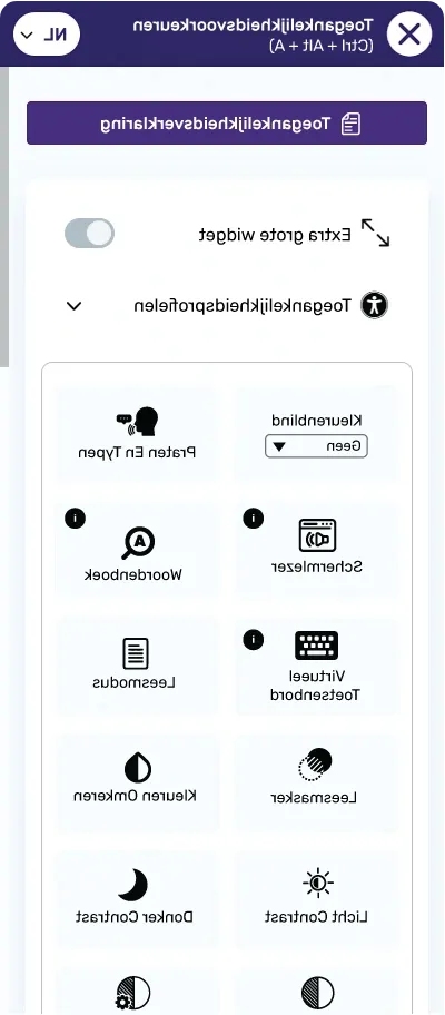 dutch website accessibility widget